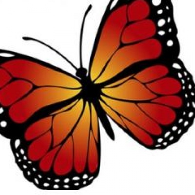 Butterflies2